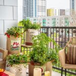 Best Plants for Small Balconies