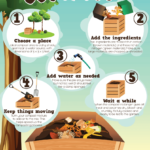 How to Compost at Home