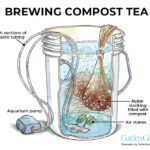 How to Make Compost Tea