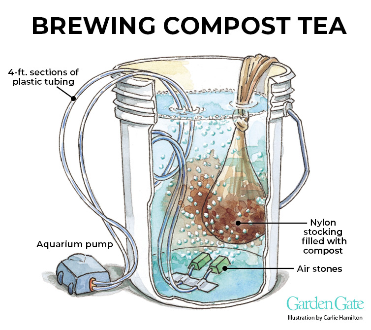 How to Make Compost Tea