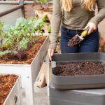 Natural Fertilizers for Home Gardens