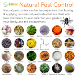 Organic Pest Control Methods